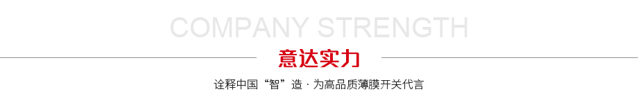 公司實(shí)力